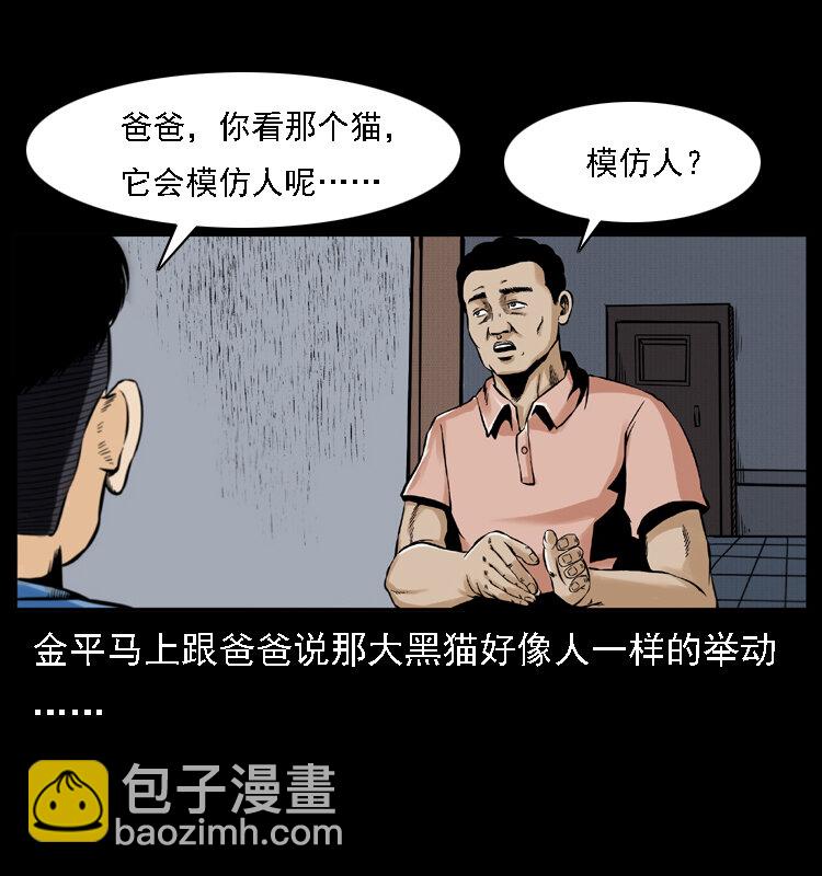 003 赵家的猫46