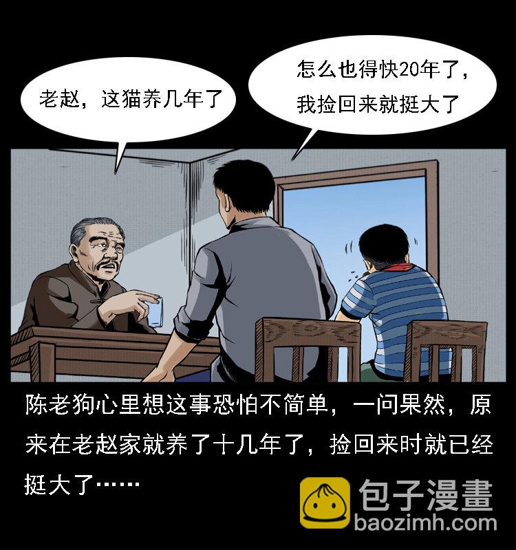 003 赵家的猫49