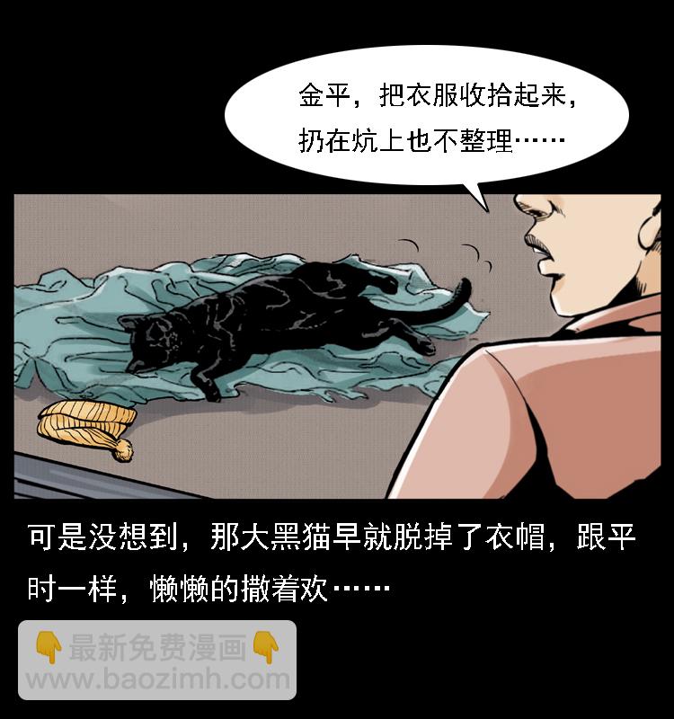 003 赵家的猫51