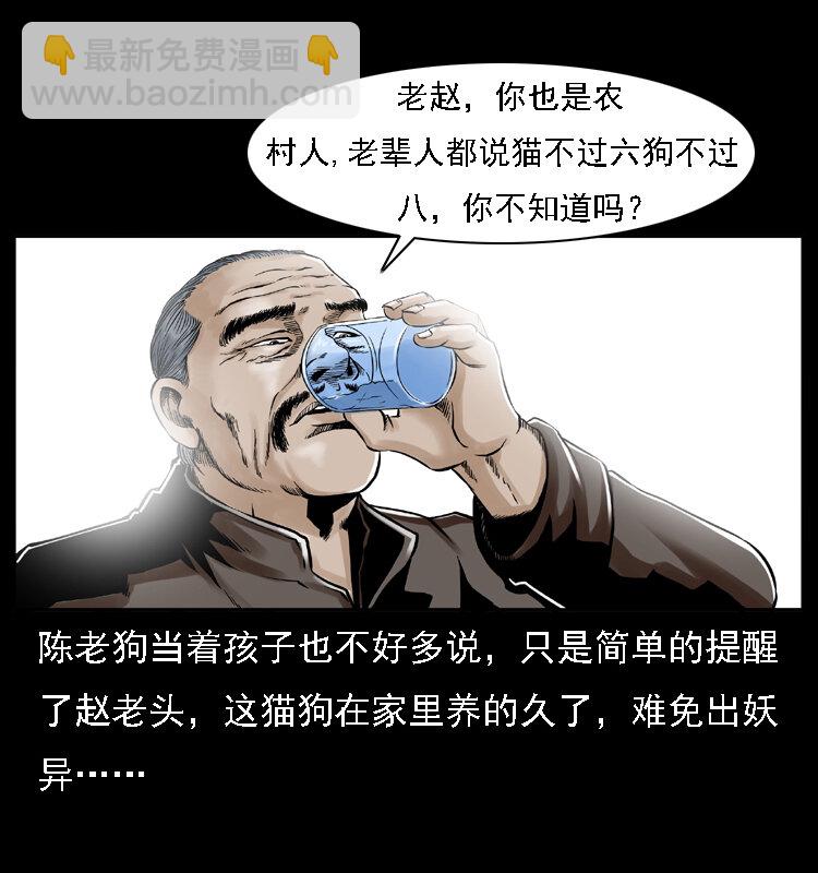 003 赵家的猫54