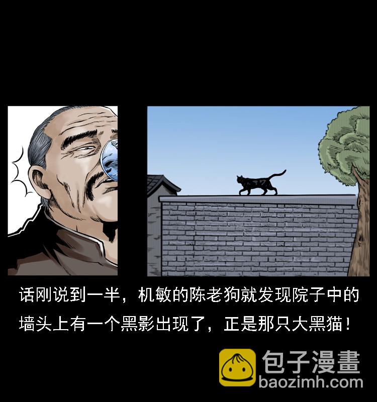 003 赵家的猫55