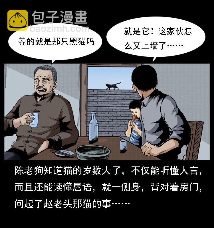 003 赵家的猫56