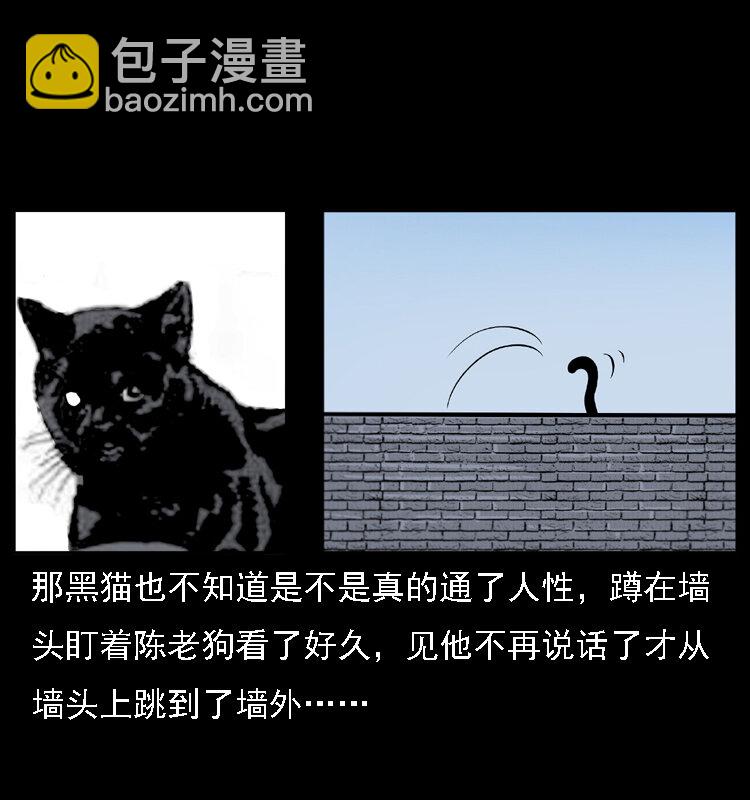 003 赵家的猫58