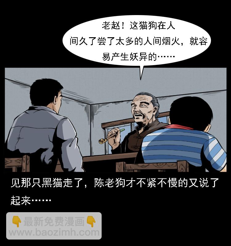 003 赵家的猫59