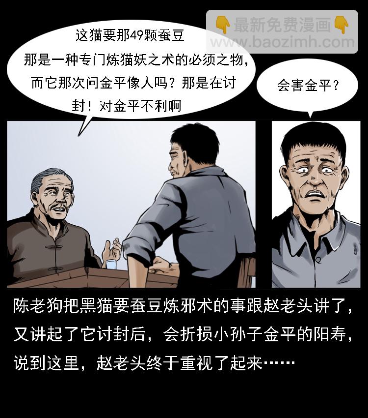 003 赵家的猫62