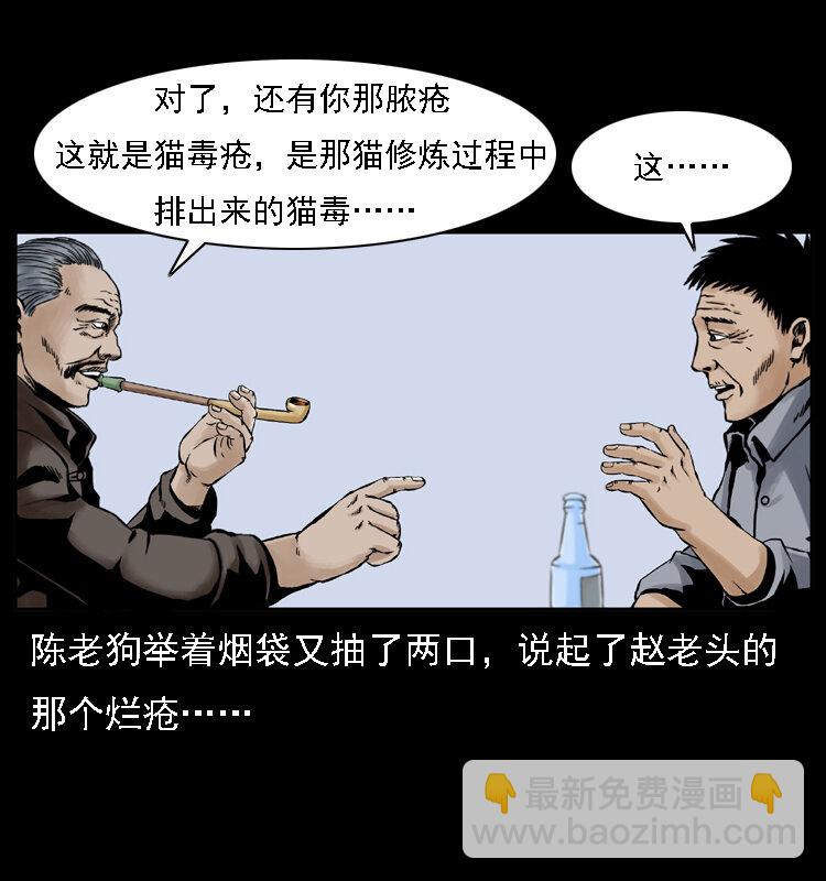 003 赵家的猫65