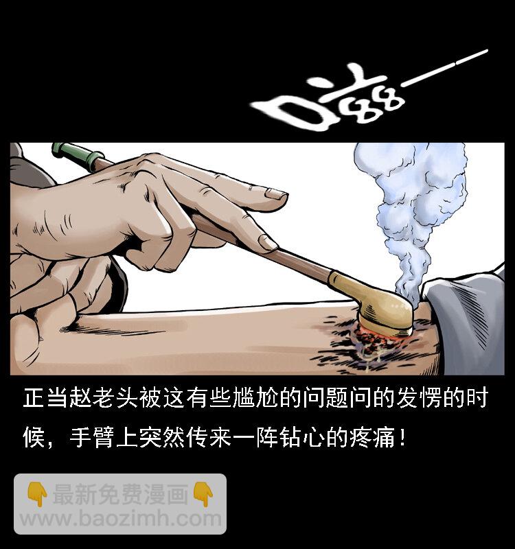 003 赵家的猫68