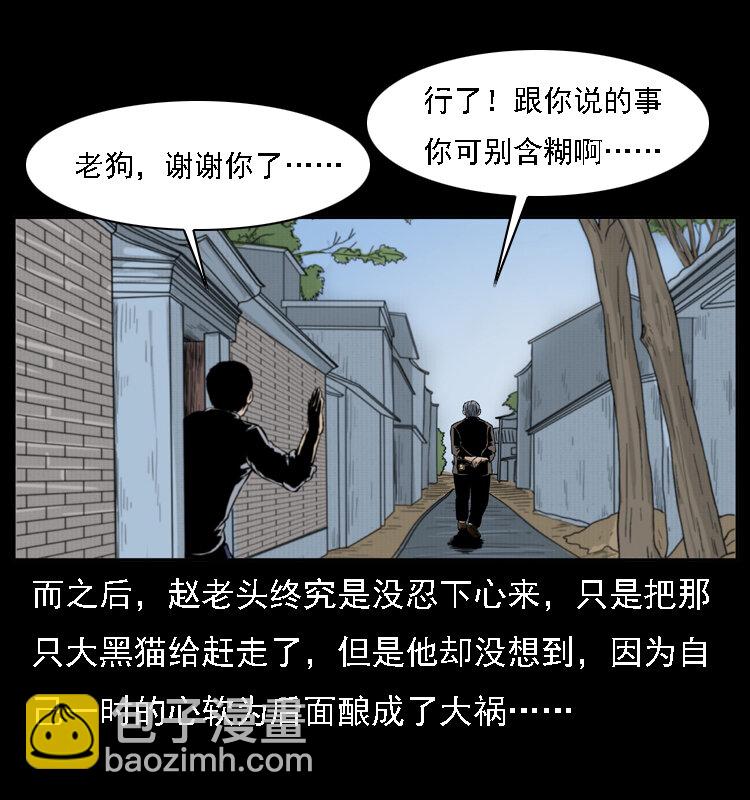 003 赵家的猫71