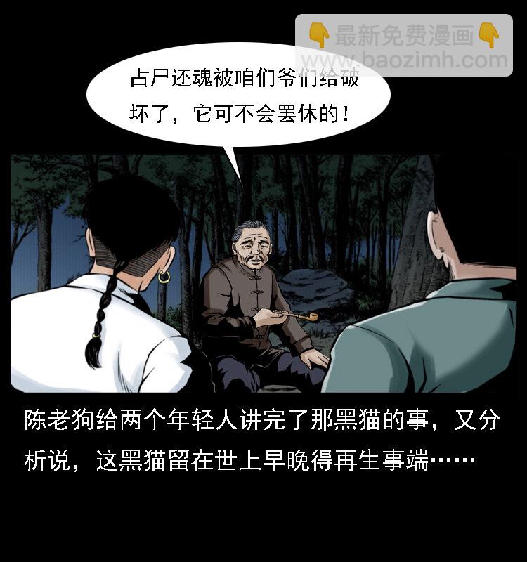 003 赵家的猫72