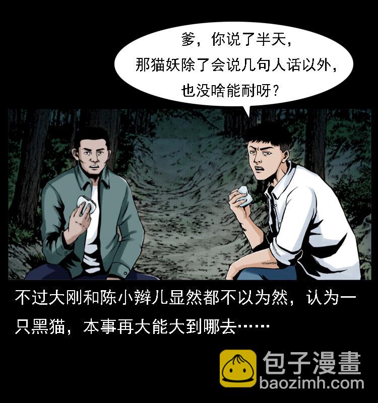 003 赵家的猫73