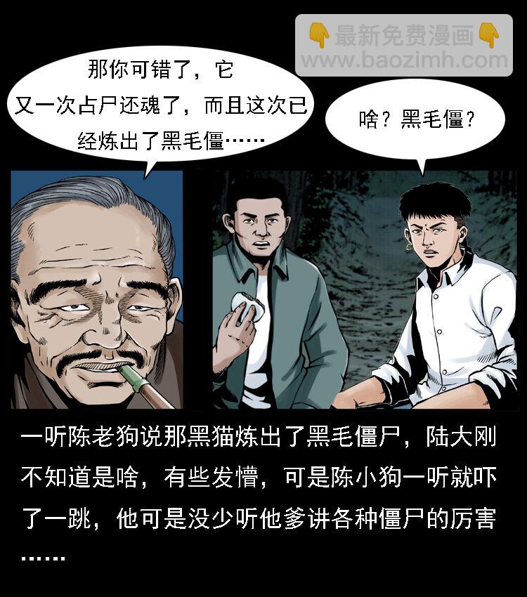 003 赵家的猫74