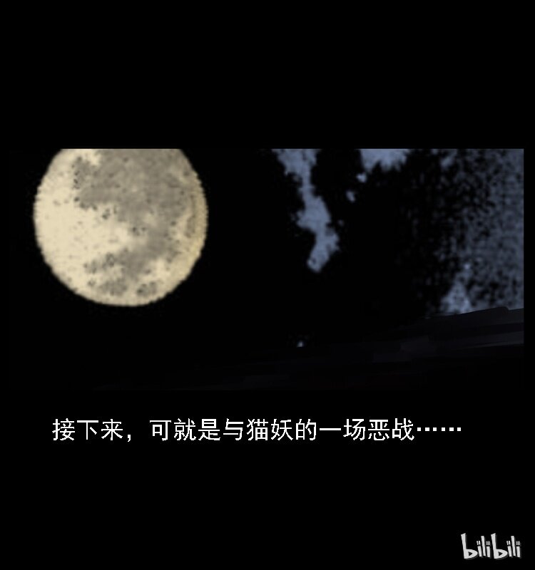 003 赵家的猫76
