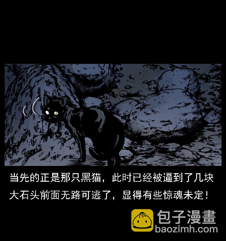 004 猫妖61