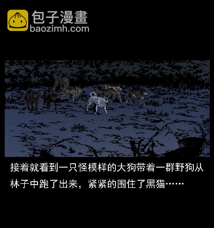 004 猫妖62