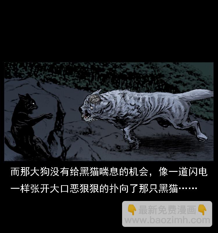 004 猫妖64