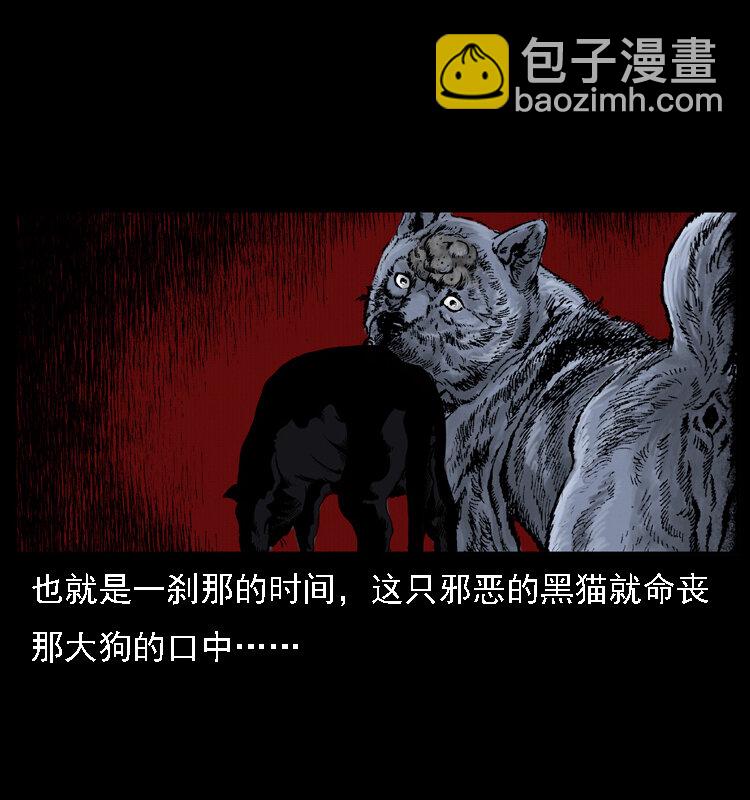 004 猫妖66