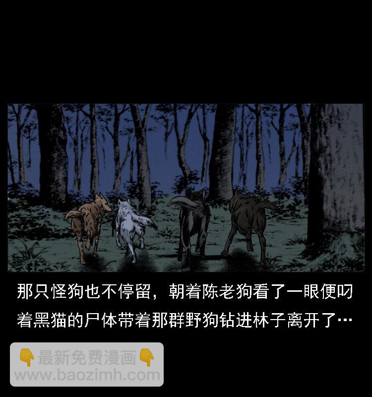 004 猫妖67