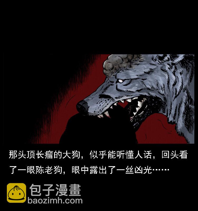 004 猫妖69