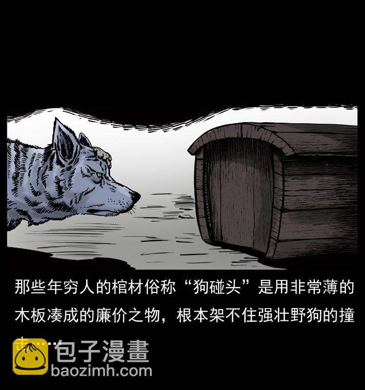005 刨尸狗11