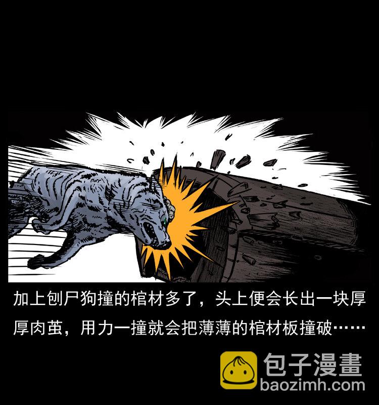 005 刨尸狗12