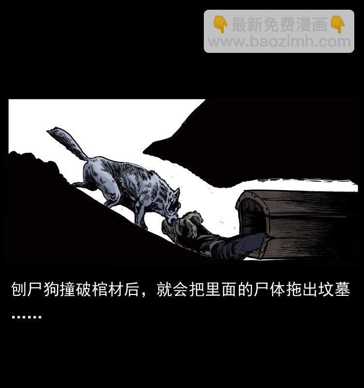 005 刨尸狗13