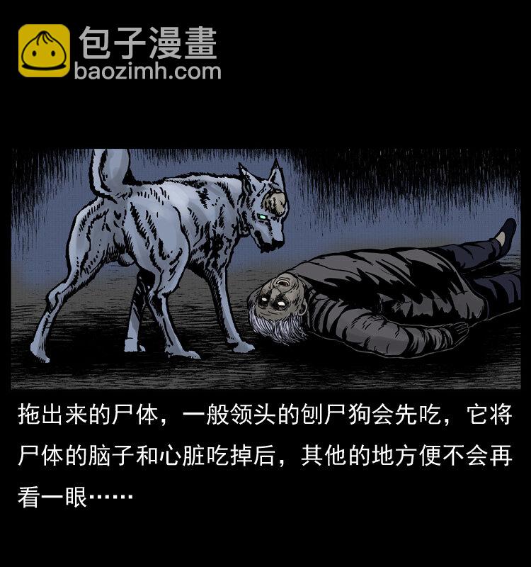 005 刨尸狗14