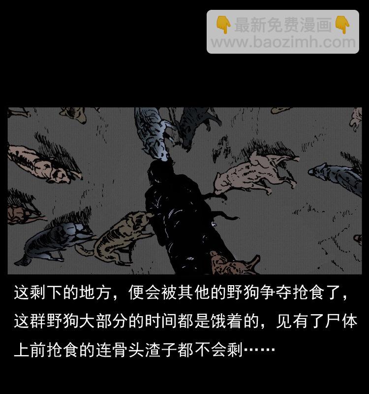 005 刨尸狗15