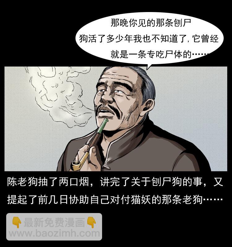 005 刨尸狗17
