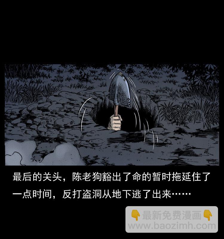 005 刨尸狗31