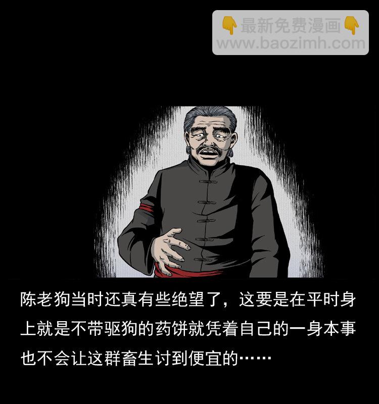 005 刨尸狗41