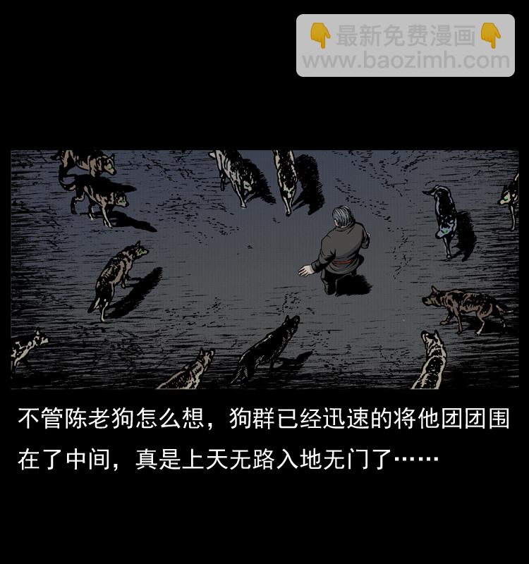 005 刨尸狗43