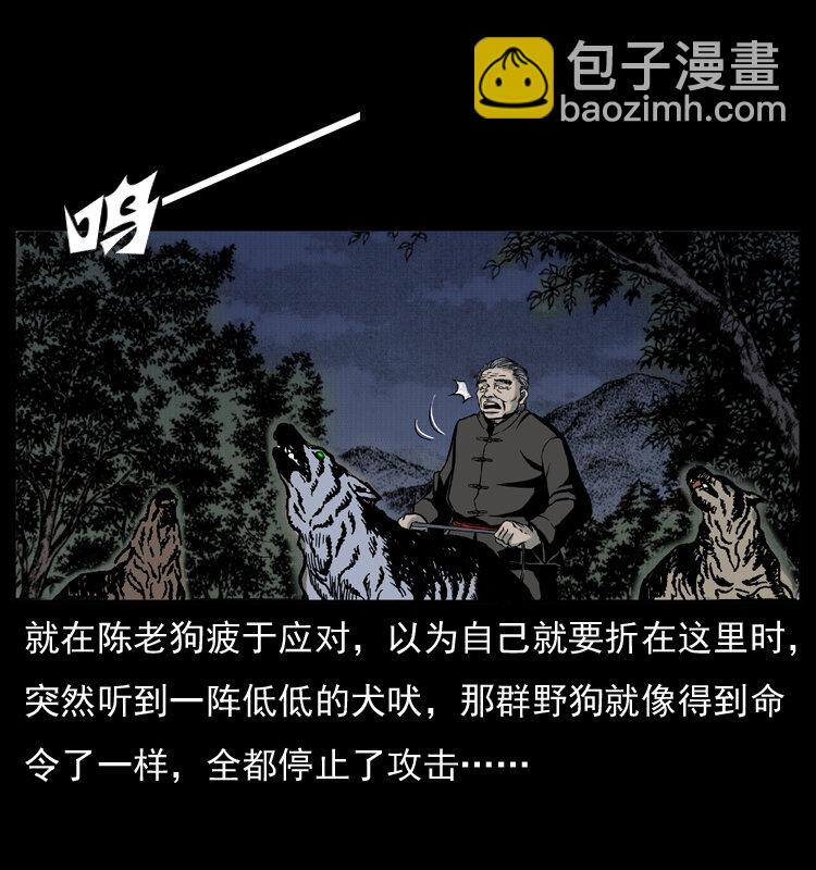 005 刨尸狗45