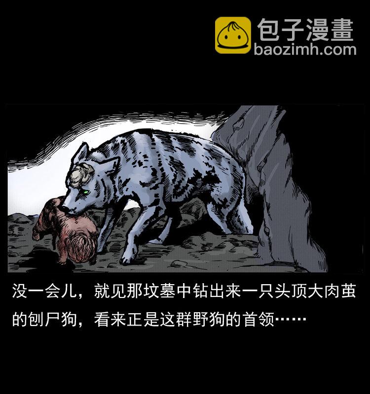 005 刨尸狗47