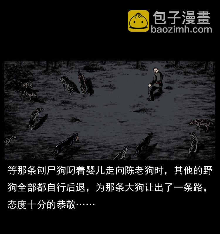 005 刨尸狗49