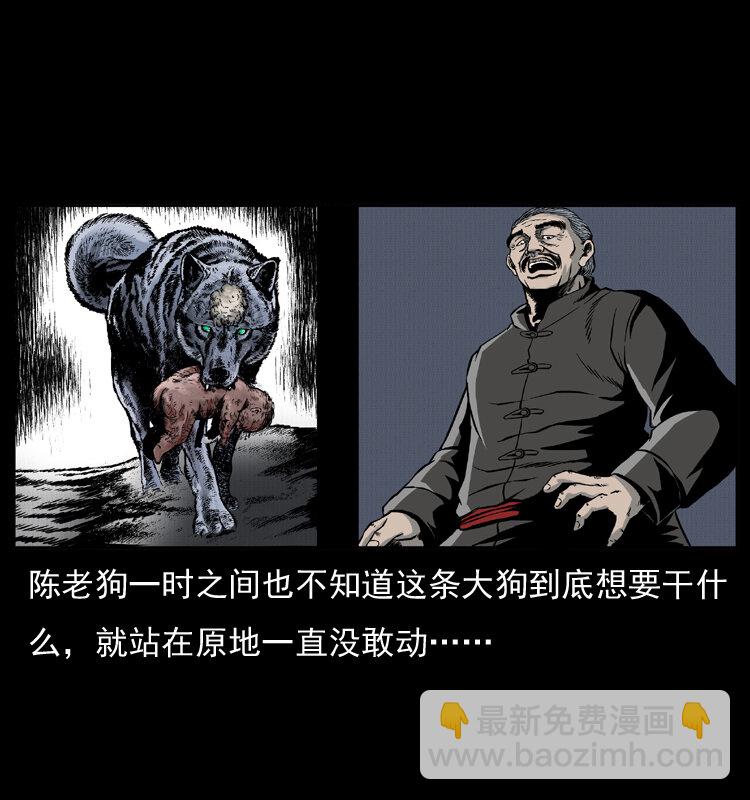 005 刨尸狗54