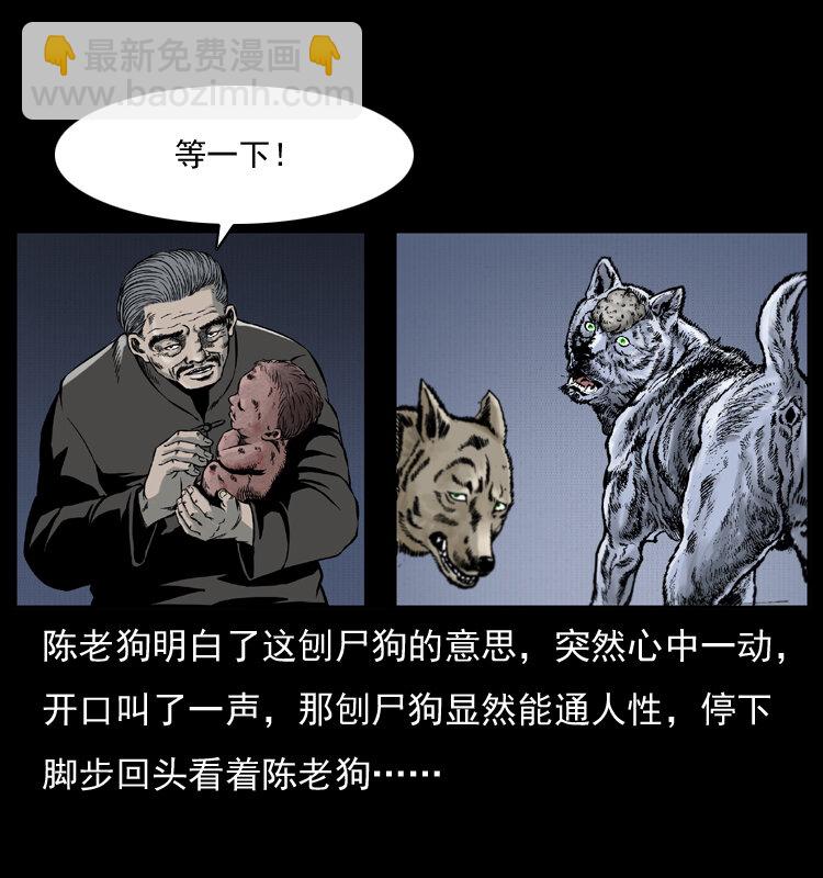 005 刨尸狗61