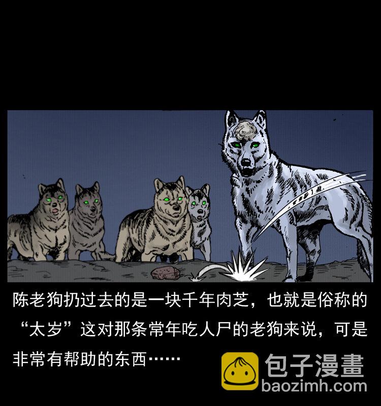 005 刨尸狗63