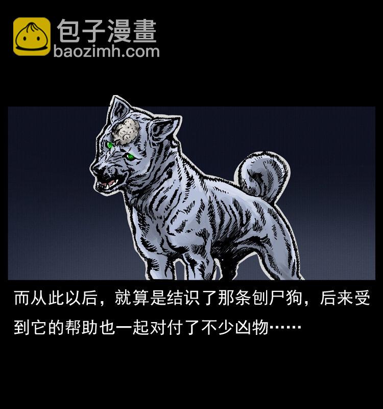 005 刨尸狗65