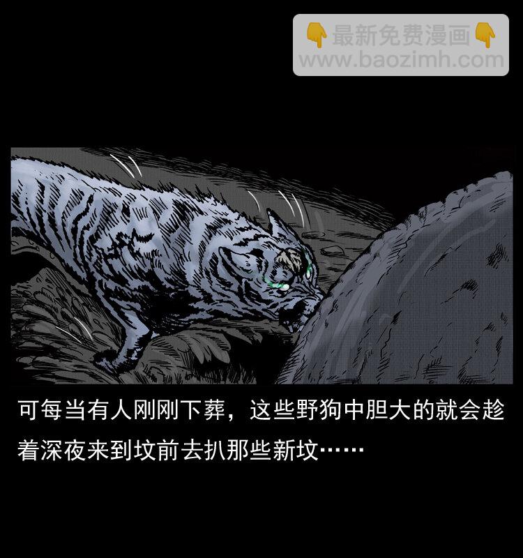 005 刨尸狗9