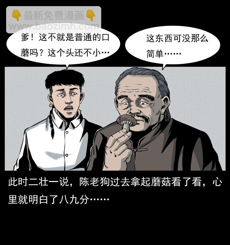 006 棺材菇15