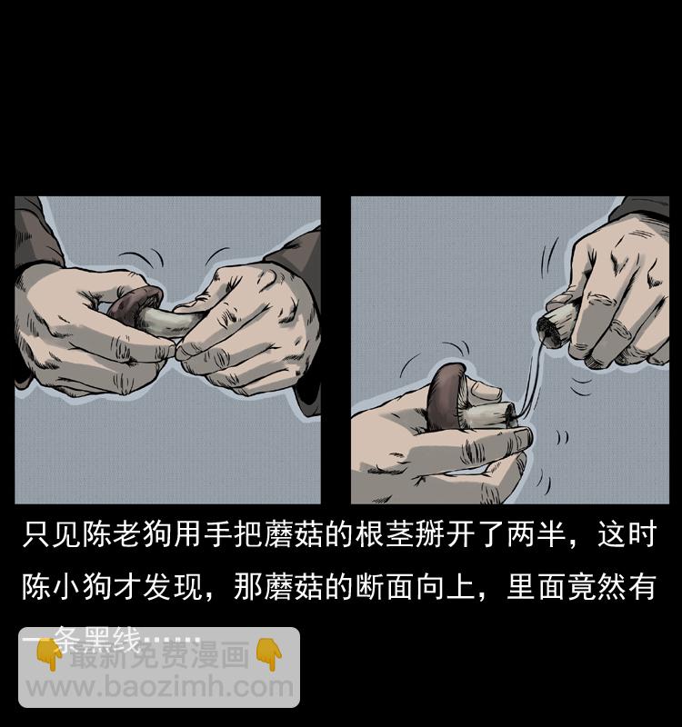 006 棺材菇16