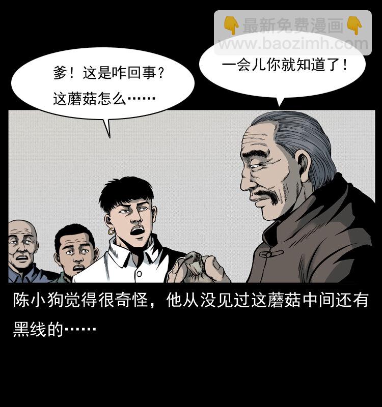 006 棺材菇17