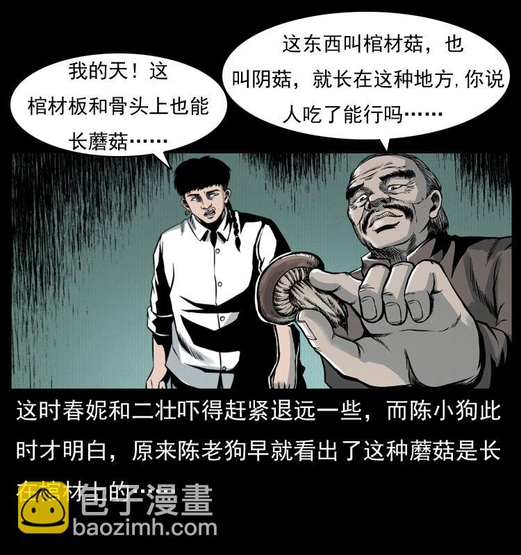006 棺材菇31
