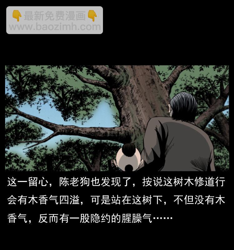 008 槐树下的小庙16