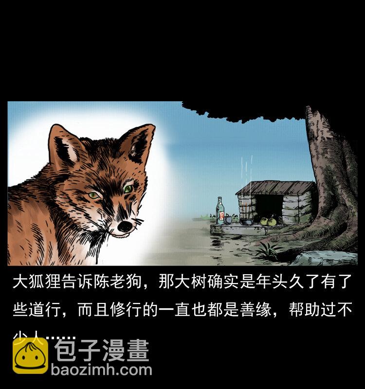 008 槐树下的小庙52