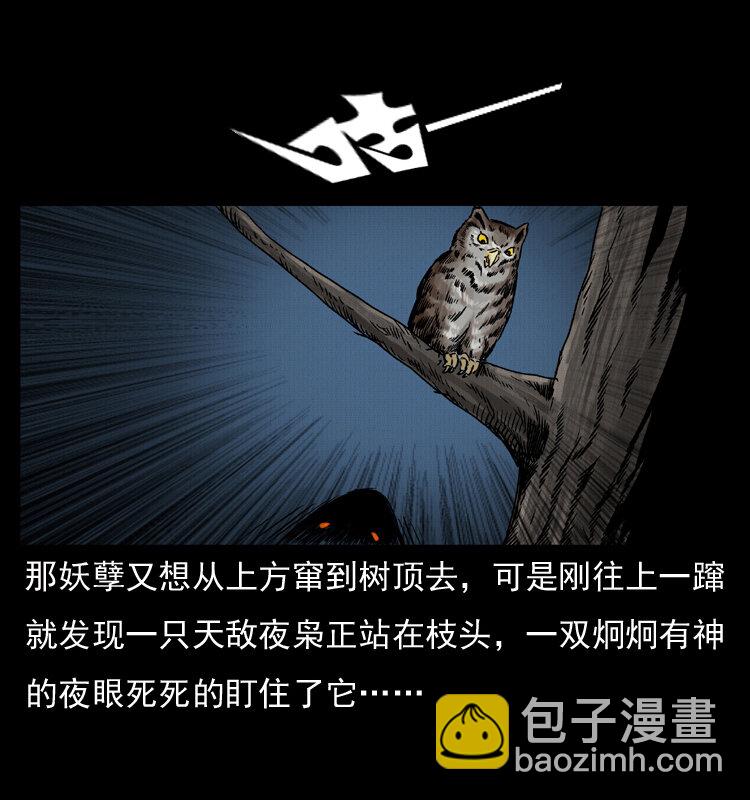 008 槐树下的小庙66