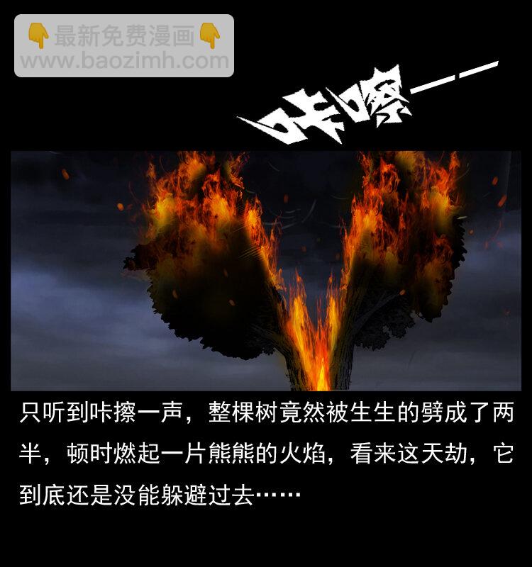 008 槐树下的小庙74