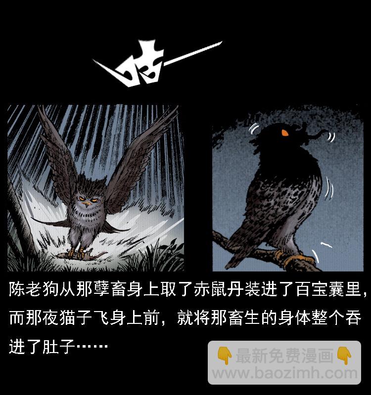 015 凶刃12