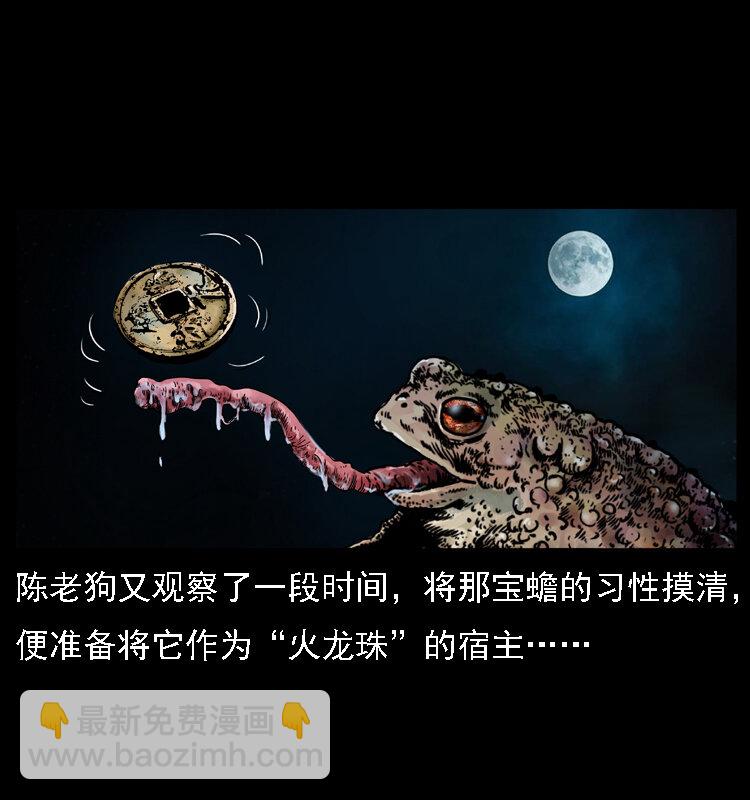 024 聚宝蟾14