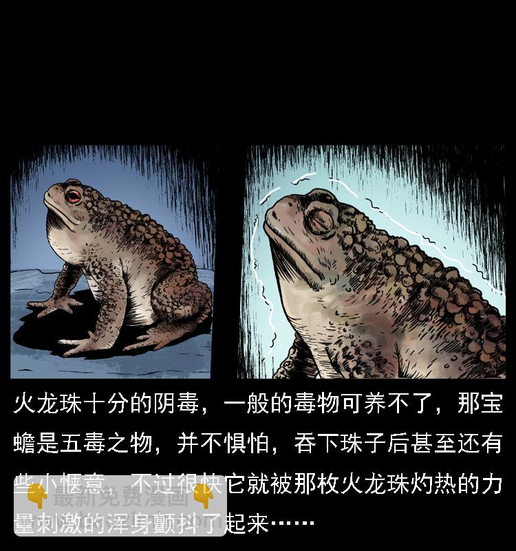 024 聚宝蟾20